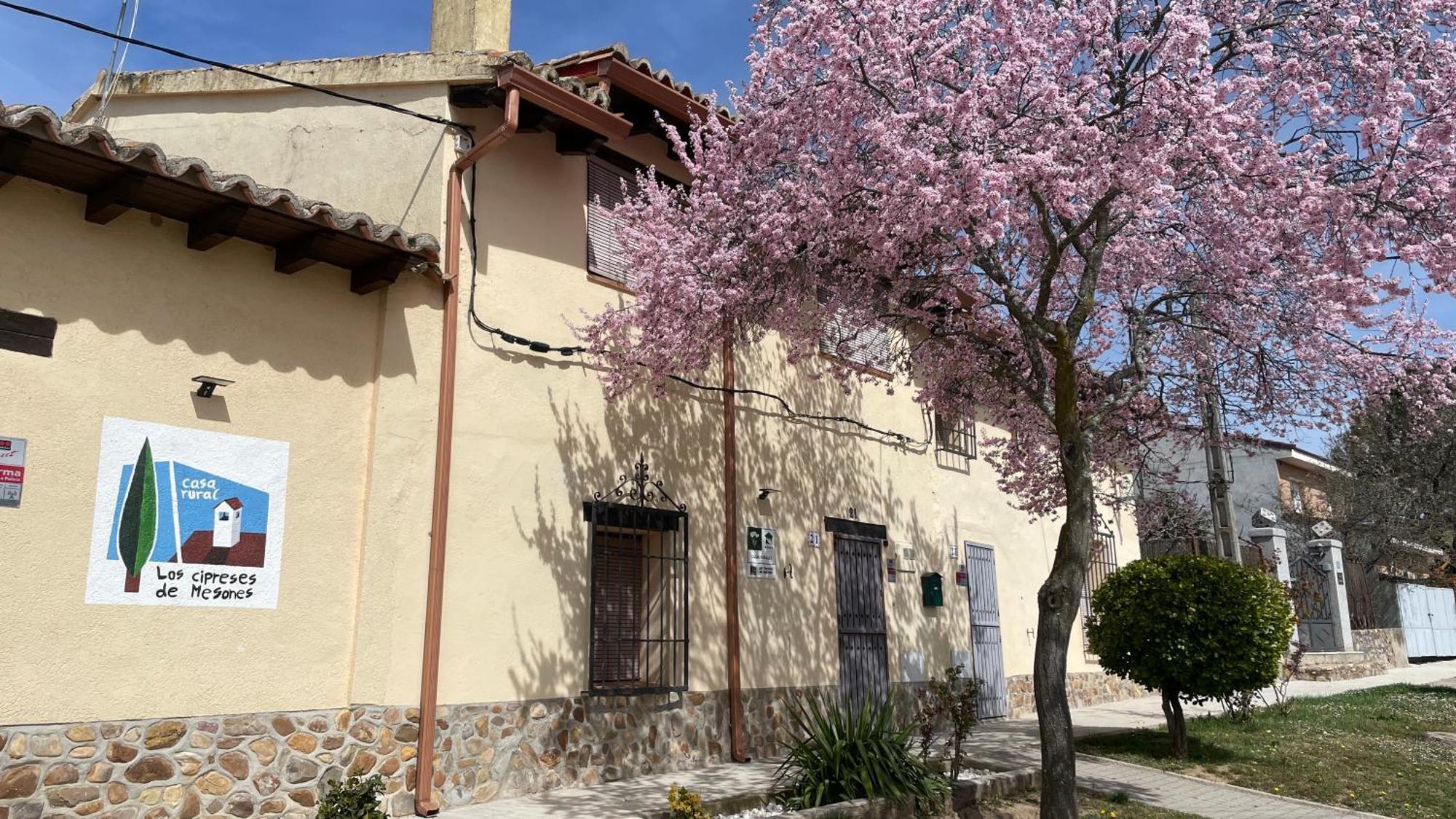 Los Cipreses De Mesones Mesones  Exterior photo